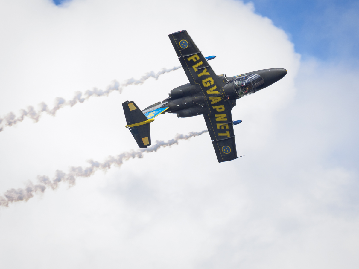 Flyguppvisning i SK 60, Printzsköld möter pilot Schylström