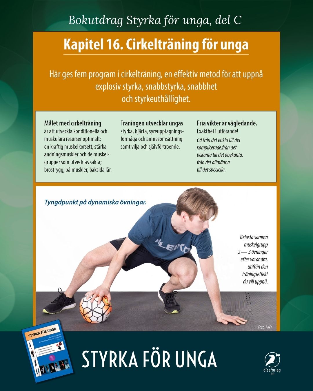 Bokutdrag ur del C i Styrka för unga.