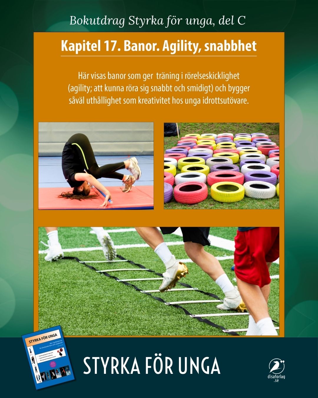 Bokutdrag ur del C i Styrka för unga.