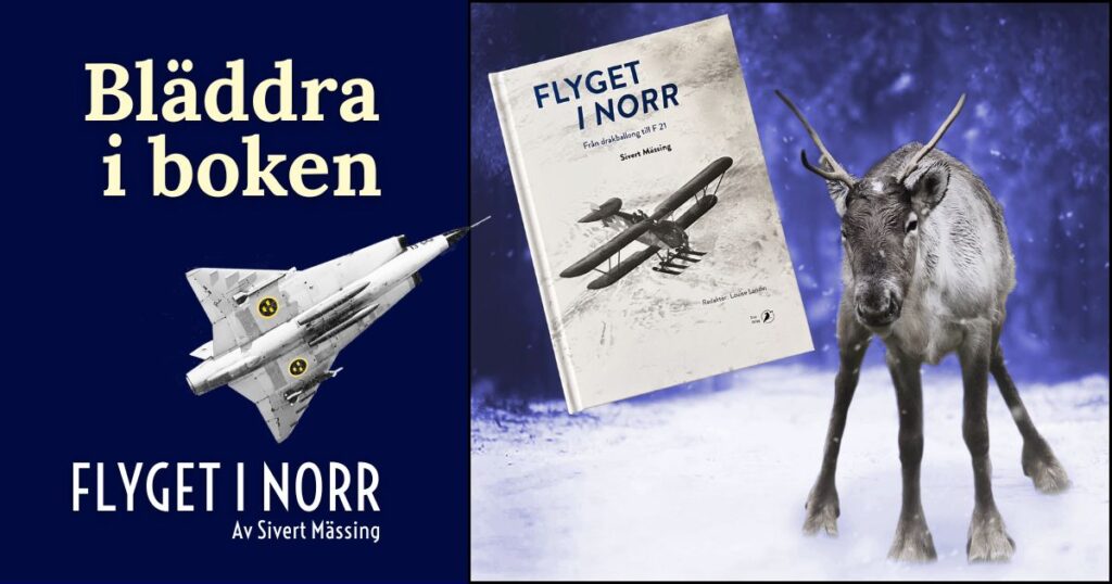 Bläddra i bokutdrag ur Flyget i norr
